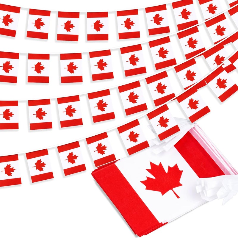 MVPRING Canada String Flag Pennant Banner, Small Mini Canadian Flags Bunting Banner, Canada Day Dominion Day National Country Decoration for School, Party, Sports Events, Patriotic Festival, 33 Feet 30 Flags - Image 1